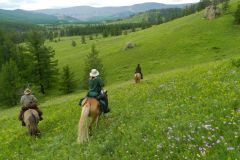 20180512174451_f01bed5a427b3756ea9b53152099d6df