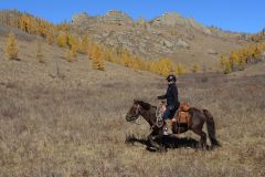 7555c5af22f04db98c00b1244b36ba06